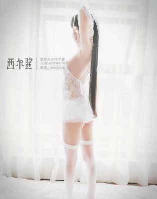 最强大脑第五季