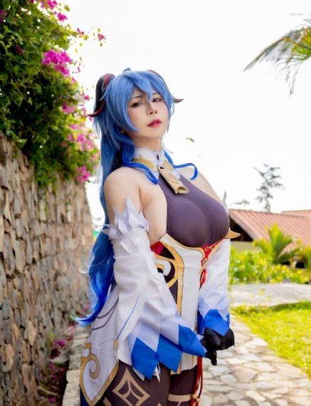 完美奴仆
