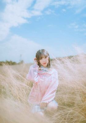 绿蔷薇 电视剧