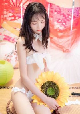 电视剧午夜蝴蝶免费观看全集
